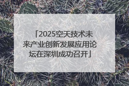 2025空天技术未来产业创新发展应用论坛在深圳成功召开
