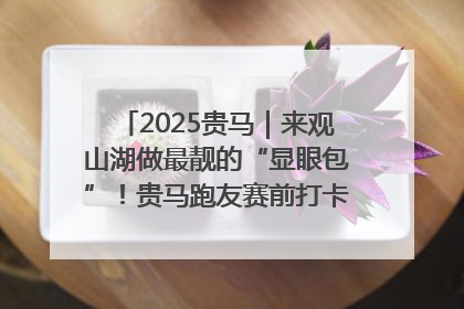 2025贵马｜来观山湖做最靓的“显眼包”！贵马跑友赛前打卡点燃奔跑热情