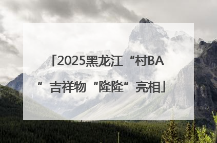 2025黑龙江“村BA”吉祥物“隆隆”亮相