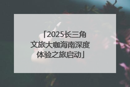 2025长三角文旅大咖海南深度体验之旅启动