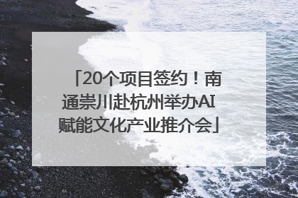 20个项目签约！南通崇川赴杭州举办AI赋能文化产业推介会