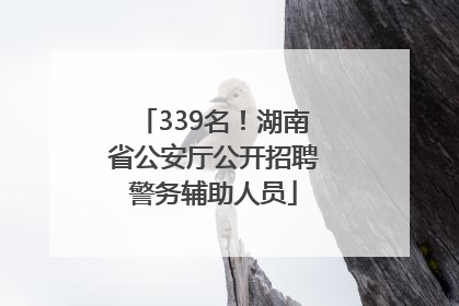 339名！湖南省公安厅公开招聘警务辅助人员