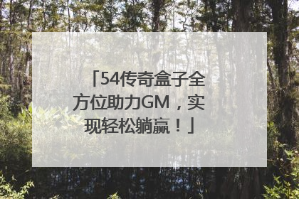 54传奇盒子全方位助力GM，实现轻松躺赢！