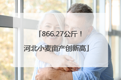 866.27公斤！河北小麦亩产创新高