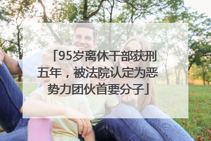 95岁离休干部获刑五年，被法院认定为恶势力团伙首要分子