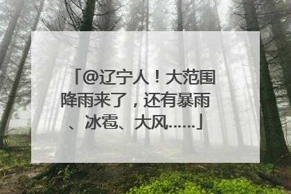 @辽宁人！大范围降雨来了，还有暴雨、冰雹、大风……