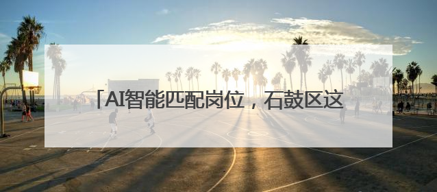 AI智能匹配岗位，石鼓区这样为高校毕业生“职引未来”