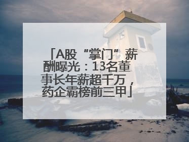 A股“掌门”薪酬曝光：13名董事长年薪超千万，药企霸榜前三甲