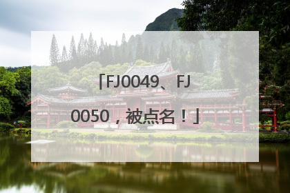 FJ0049、FJ0050，被点名！