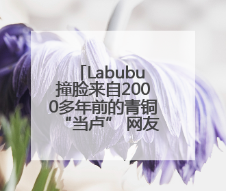 Labubu撞脸来自2000多年前的青铜“当卢” 网友：真正的“限量版”